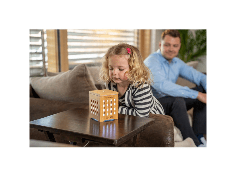 TrueLife AIRDD7B Bambusz diffúzor