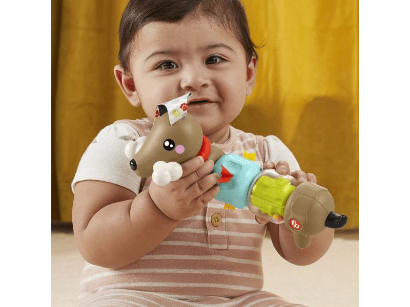 Fisher-Price: Kis kedvencek foglalkoztató - Tacsi (HTW91)