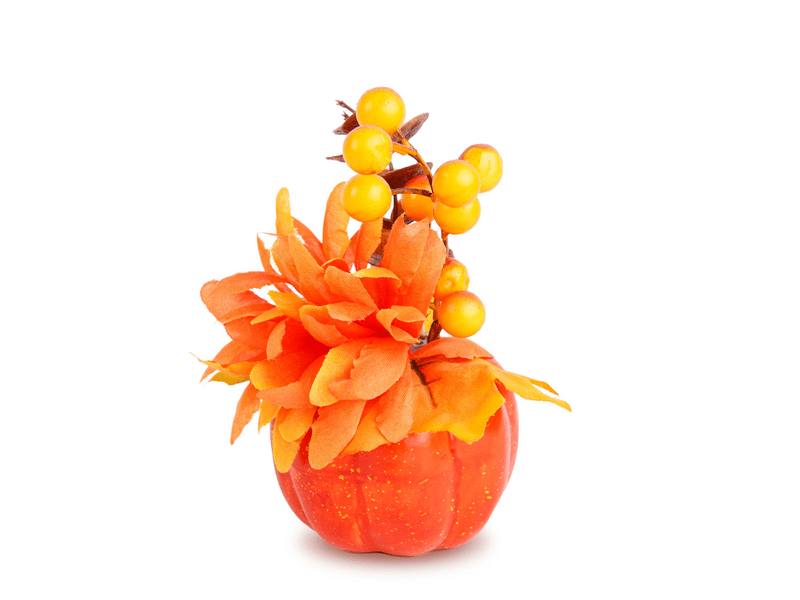 Family 59027 Őszi dekoráció, tök, 4 féle, 8x10 cm