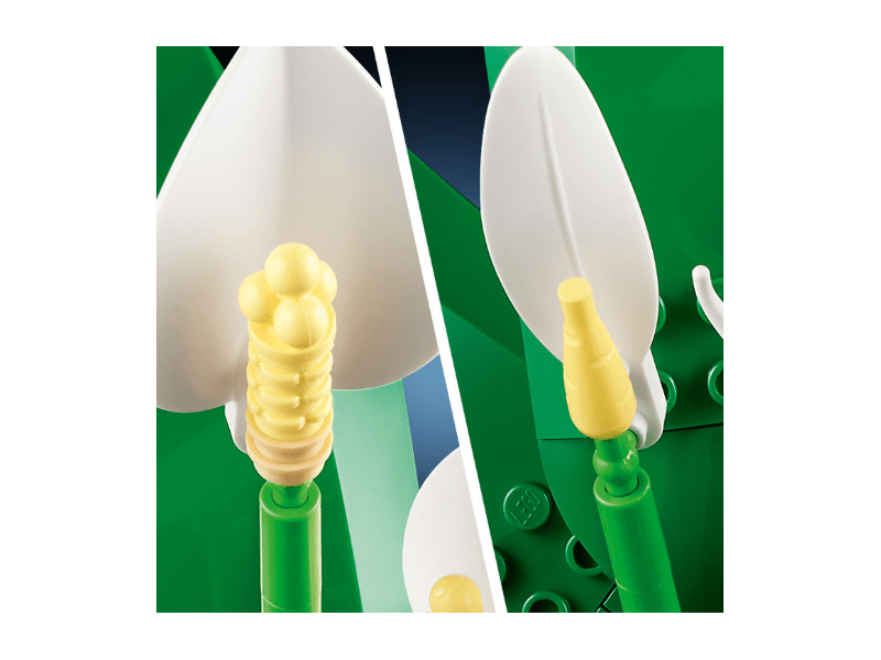 LEGO® Botanicals Vitorlavirág (11504)