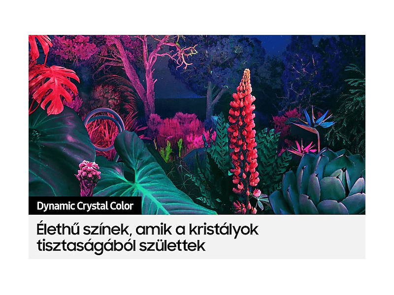 Samsung UE43BU8002KXXH 43