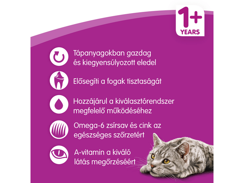 Whiskas száraztáp csirkehússal, 300 g