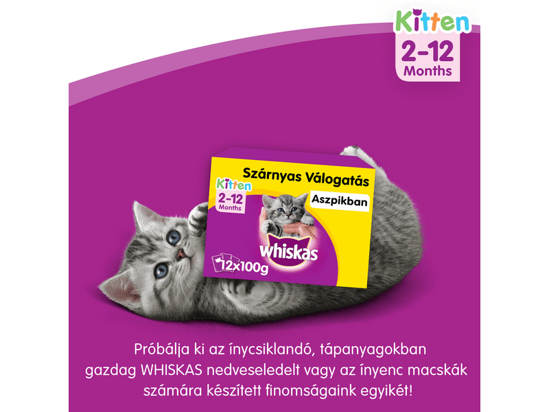Whiskas Junior száraztáp csirkehússal, 300 g