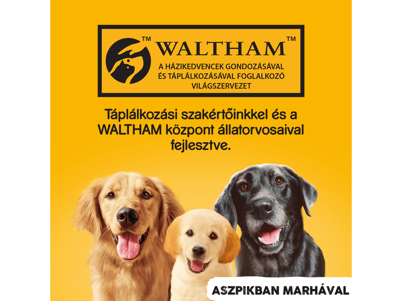 Pedigree marhahús konzerv zselében felnőtt kutyáknak 1200g
