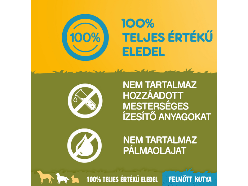 Pedigree száraztáp csirke&zöldség felnőtt kutyáknak 10kg