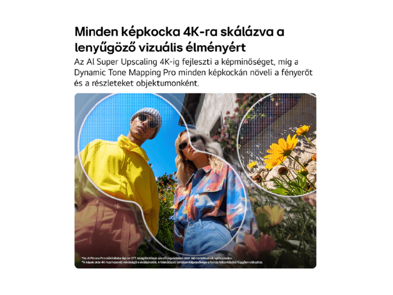 LG 43QNED87B3A 43