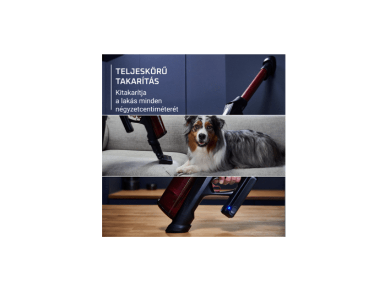 Rowenta X-Force Flex 13.60 Porszívó (RH9A73WO)