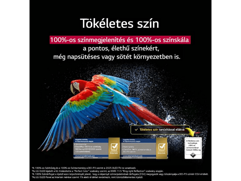 LG OLED evo AI OLED55C51LA 55