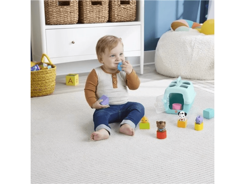 Fisher-Price Kis kedvencek foglalkoztató - állatkás formaválogató (HTW93)