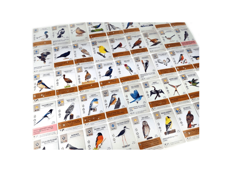 Fesztáv - társasjáték madárrajongóknak