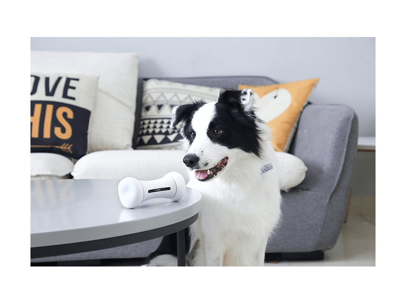 Doggy Village MT7109 Interaktív Smart Bone Játékcsont