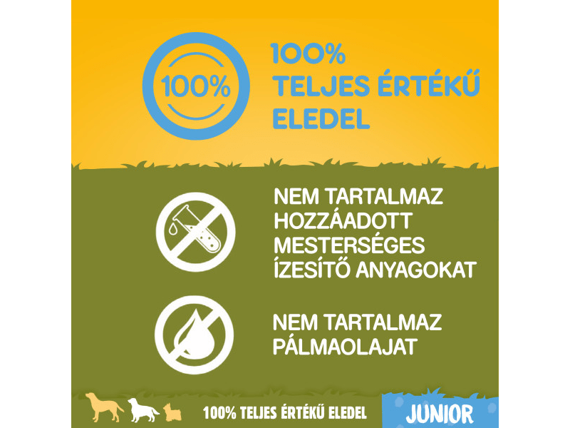 Pedigree száraztáp csirkehússal és rizzsel kölyökkutyák számára, 3 kg (395332)