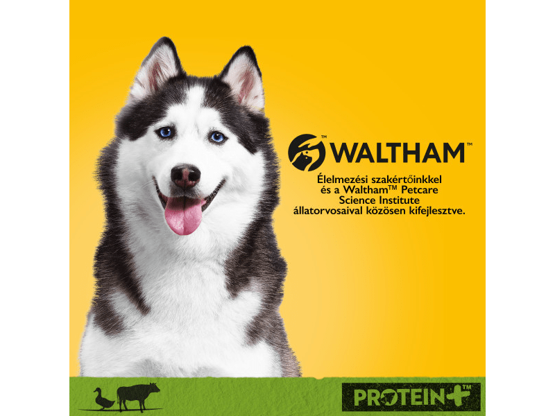 Pedigree kutya konzerv eledel kacsával és marhával felnőtt kutyák számára, 800 g (437496)