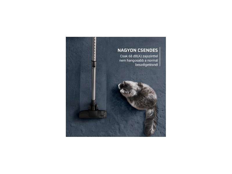 Rowenta RO7C32EA Porzsák nélküli porszívó