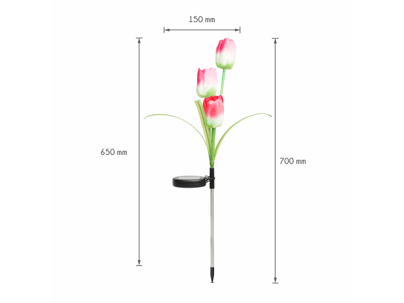 Leszúrható szolár virág tulipán 2 db