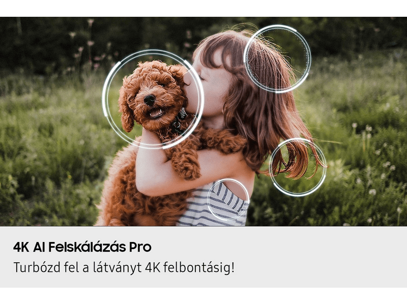 Samsung QE42S90FAEXXH 42