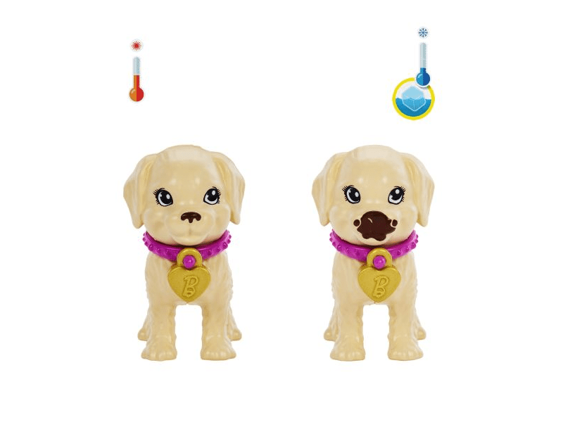 Barbie: Gondos gazdi játékszett