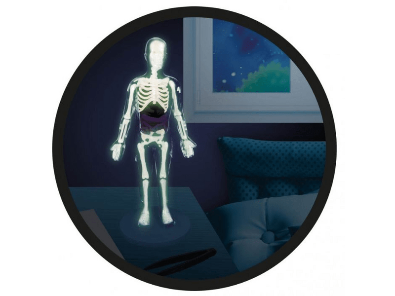 Buki Tudományos készlet: Az emberi test