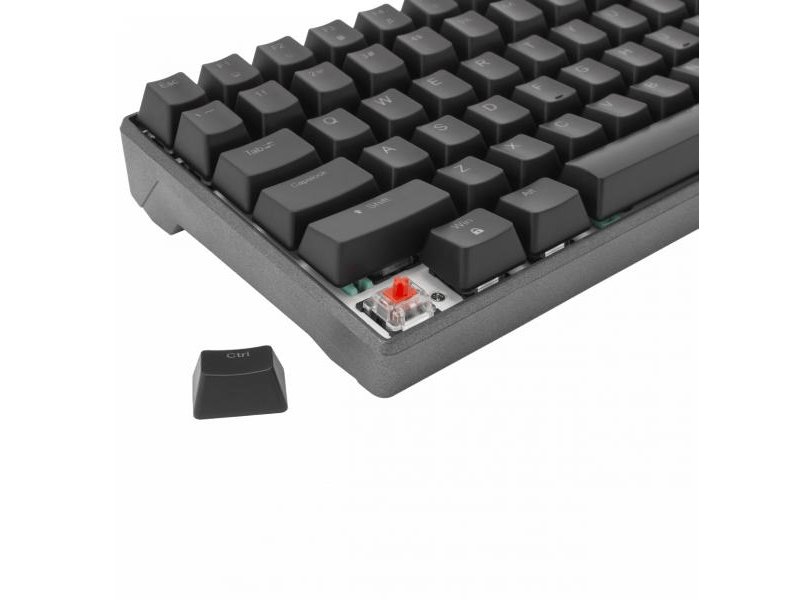 White Shark Gamer mechanikus billentyűzet, US kiosztás