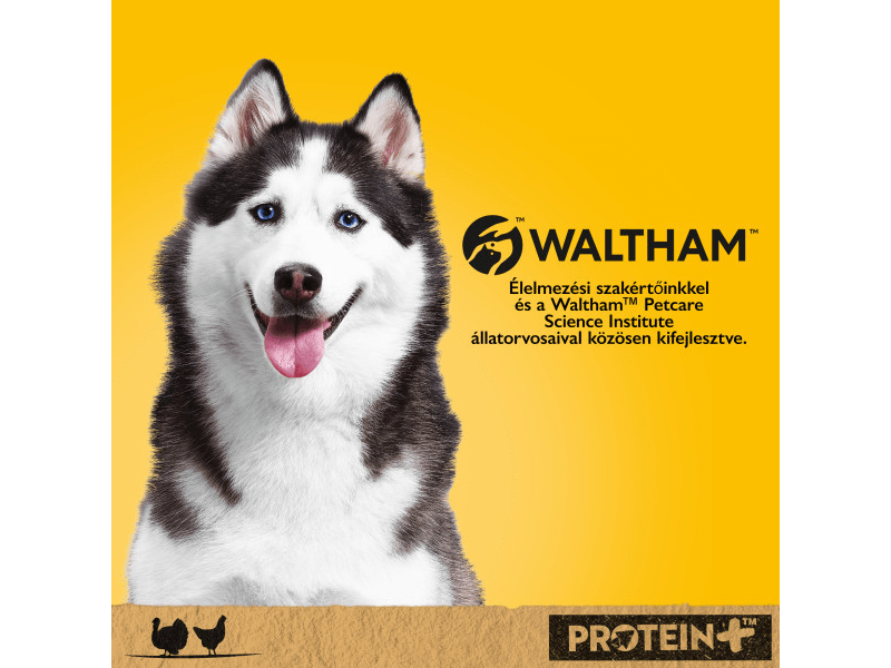 Pedigree kutya konzerv eledel pulykával és csirkével felnőtt kutyák számára, 800 g (437501)