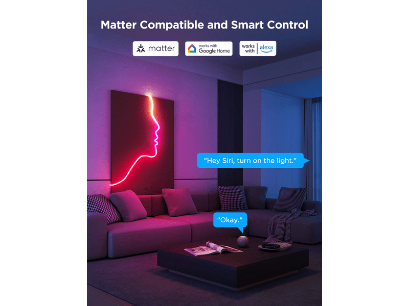 Govee Neon Rope Light 2 H61D5301, 5 m