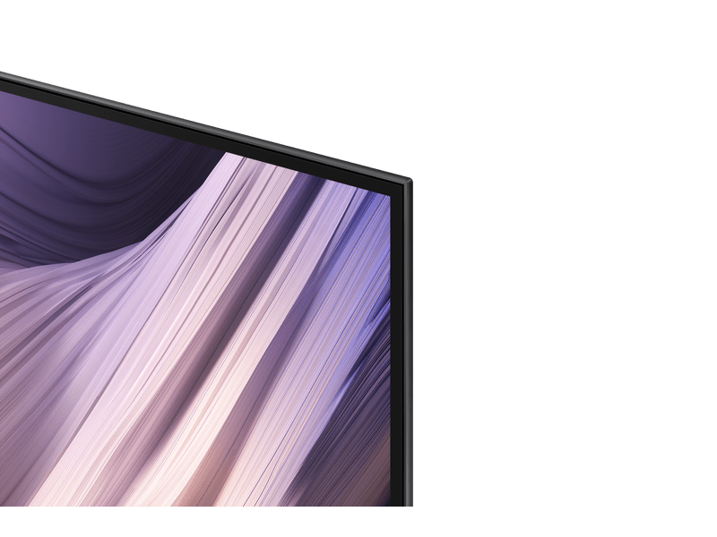Samsung QE48S95HAEXXH 48