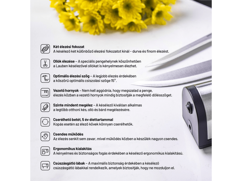 Lauben 4700SB Elektromos késélező