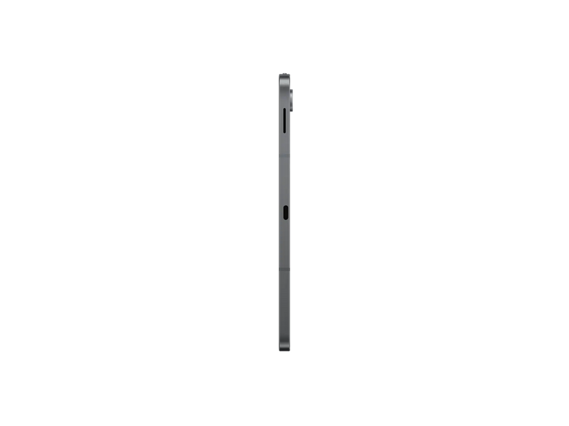 10.9 OC 256/8GB 8/5MP, Gray