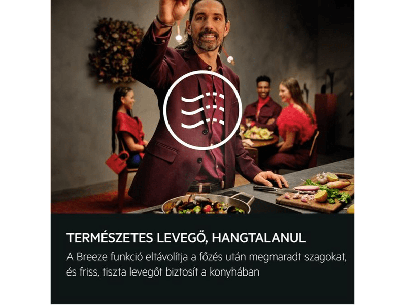 AEG GDP866PB Teleszkópos páraelszívó