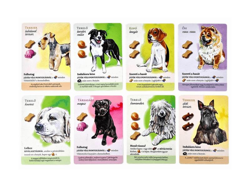 Kutyapark társasjáték (LDG 10013)