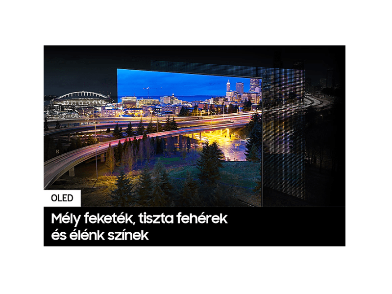 Samsung QE48S90DAEXXH 48