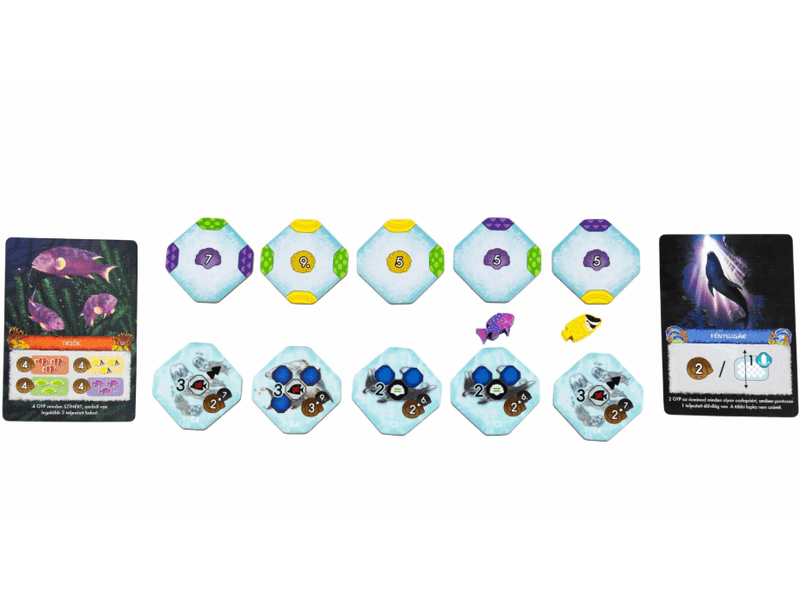 Korallzátony társasjáték (BDC10005)