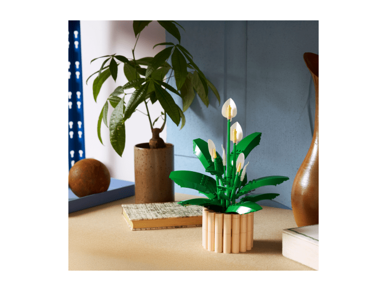 LEGO® Botanicals Vitorlavirág (11504)