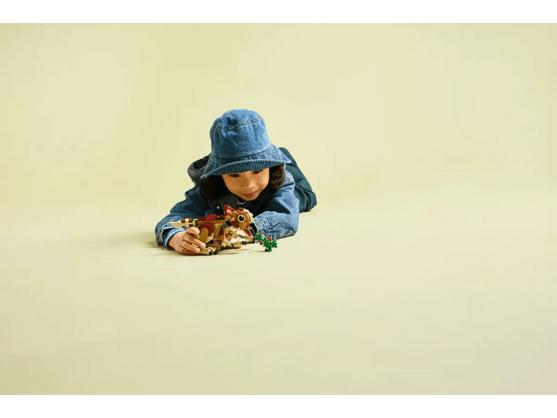 LEGO® Jurassic World™ Dolores, a bébi dinoszaurusz: Aquilops (76970)