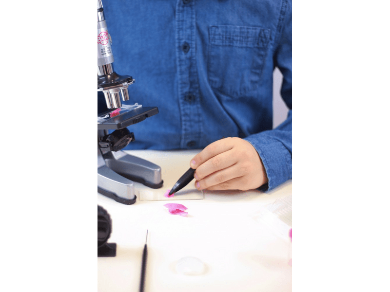 Buki MS907B Mikroszkóp, 30 kísérlettel