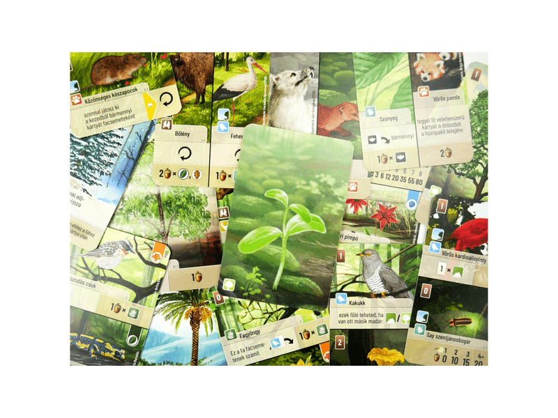 Az erdő: Felfedezés kiegészítő (ASM34738)