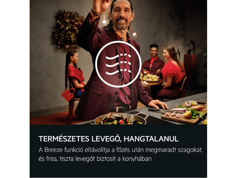 AEG GDP869PB Teleszkópos páraelszívó