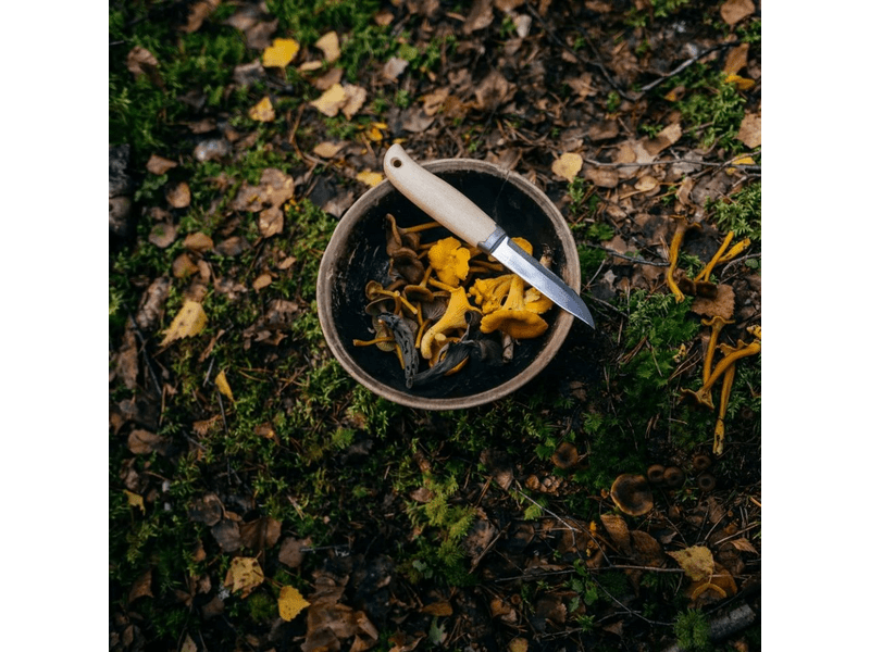 Fiskars Norden nož za aktivnosti na otvorenom s kožnom futrolom (1072090)