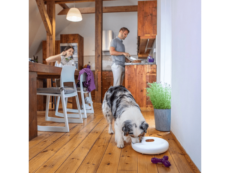 Tesla TSL-PC-SPIN okos háziállat etető