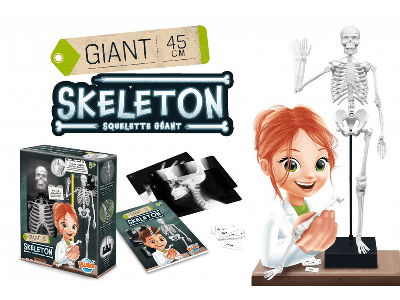 Buki 2180 Összeépíthető csontváz, 45 cm