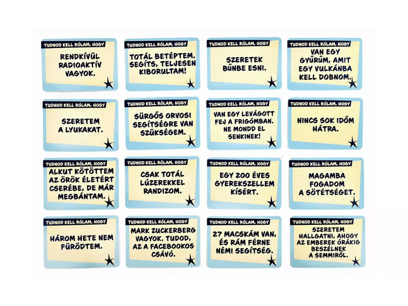 Randiguru társasjáték (10027)