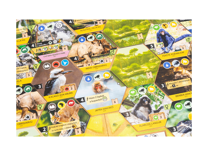 Ark Nova - Menedék (FEU10007)