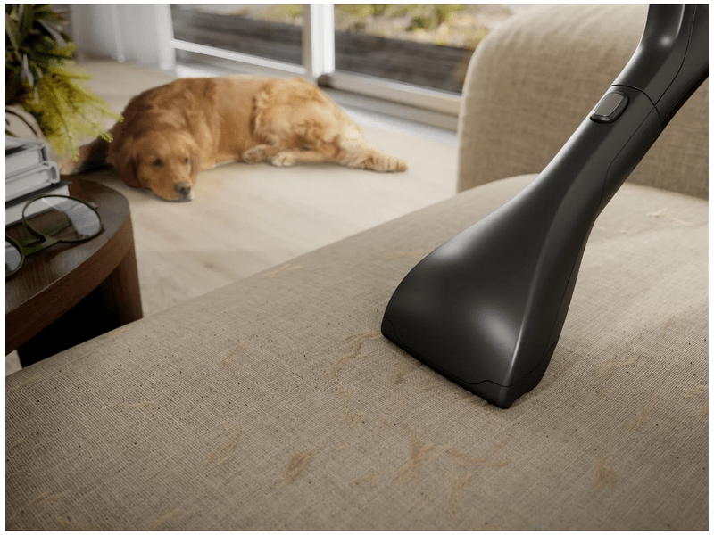 Electrolux EB81A3UG Animal 800 Porzsákos porszívó