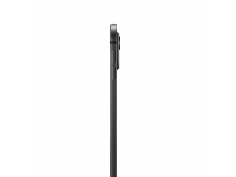 13 iPad Pro cell 1TBstand glss-SpaceBK