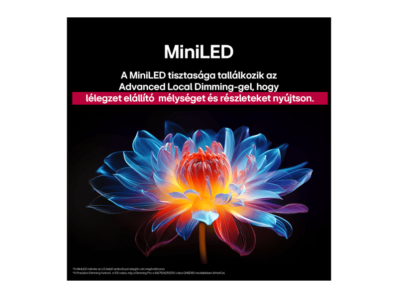 QNED evo MiniLED Smart TV, 4K UHD, webOS