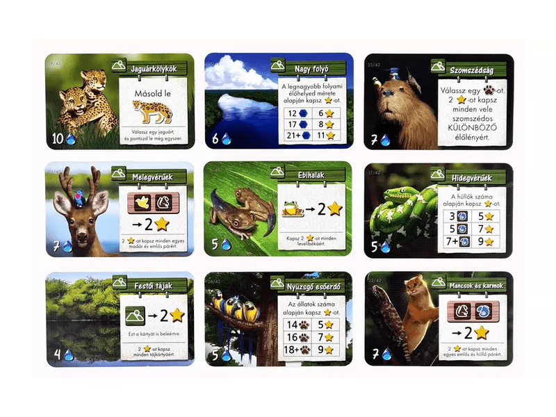 Amazónia társasjáték (10001)