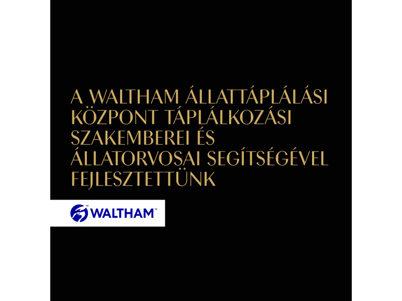 Sheba tasakos eledel lazaccal mártásban, felnőtt macskák számára, 85 g