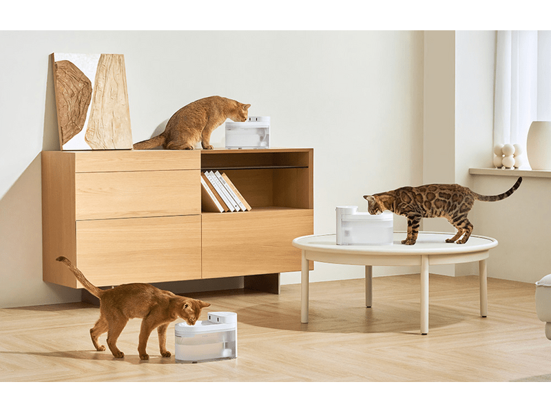 Catlink Pure 3 intelligens itató kutyáknak és macskáknak (CL-WB-01)