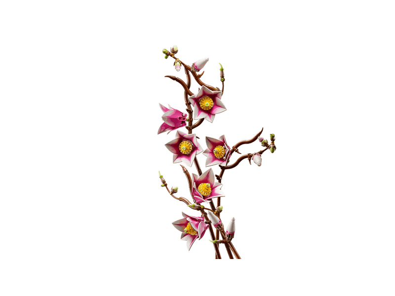 LEGO® Botanicals Magnóliaágak (11510)