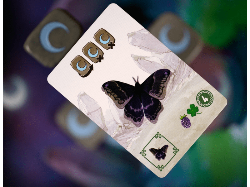 Carnuta Társasjáték (ASM34760)